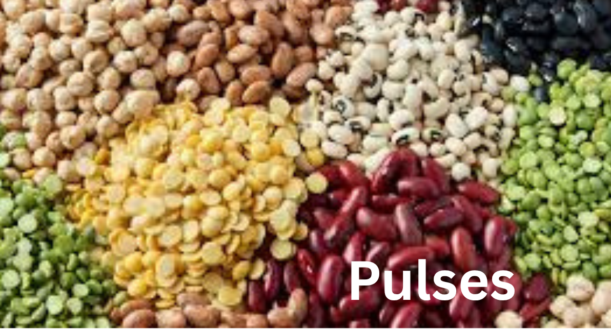 Pulses
